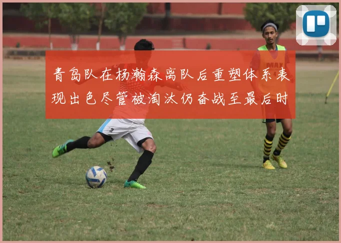 青岛队在杨瀚森离队后重塑体系表现出色尽管被淘汰仍奋战至最后时刻